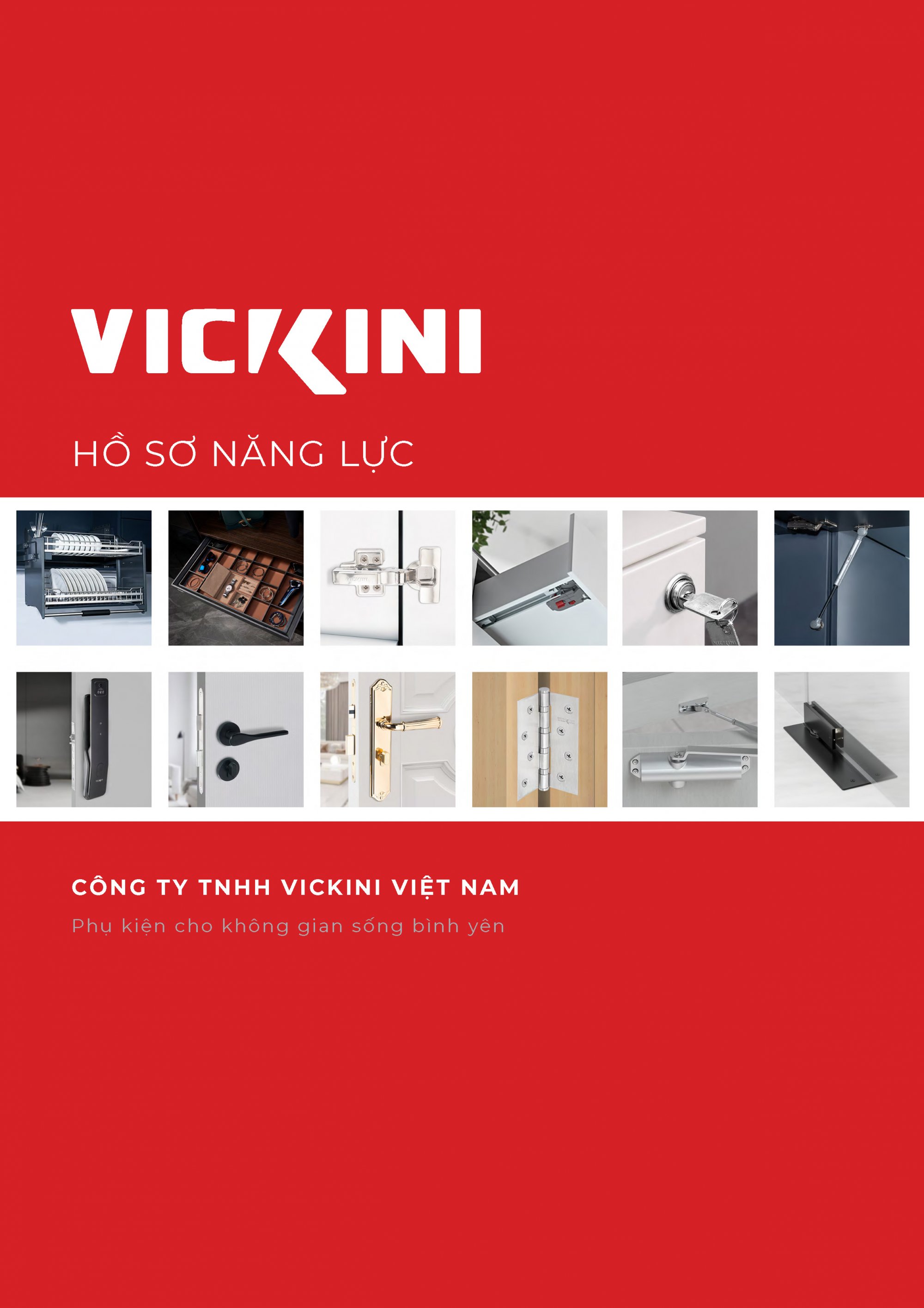 Hồ sơ năng lực VICKINI