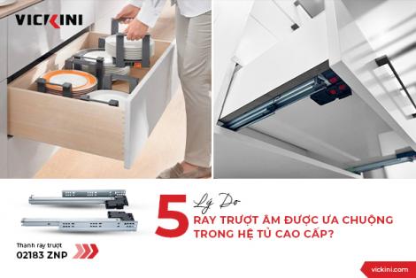 5 LÝ DO RAY TRƯỢT ÂM ĐƯỢC ƯA CHUỘNG TRONG HỆ TỦ CAO CẤP?